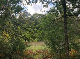 479 N Cottonwood Ave, White Cloud, MI 49349