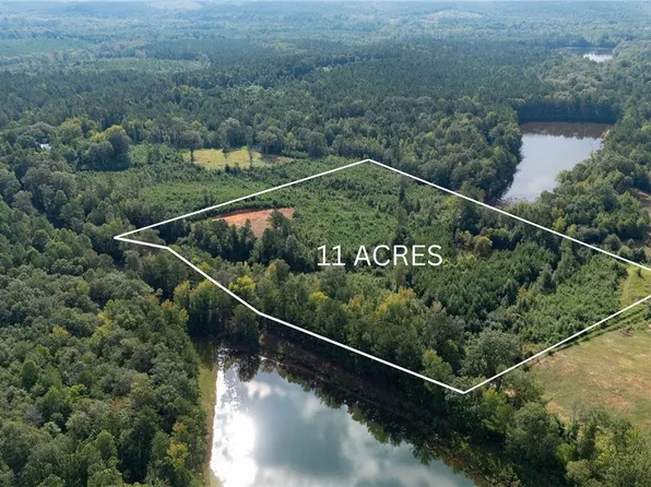 0 County Road 51, Greensboro, AL 36744