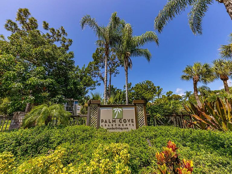 Palm Cove Apartments — Photo 79