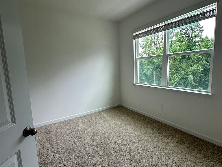 807 Lucky Clover Way — Photo 10