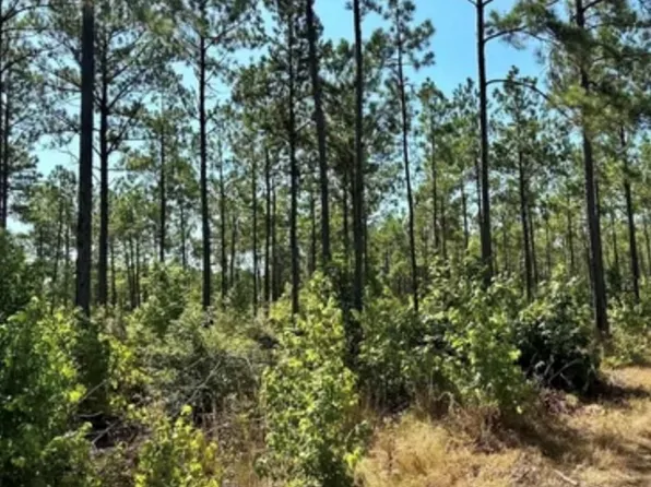 3245 County Road 1095, Center, TX 75935