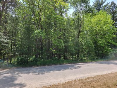 Helen Dr, Grayling, MI, 49738