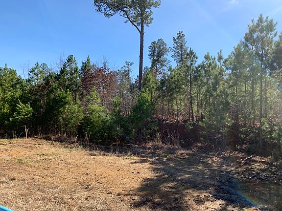 4th image of 254 Sandra Ln