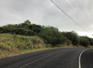 Paradise Circle Mauka LOT 17, Captain Cook, HI 96704