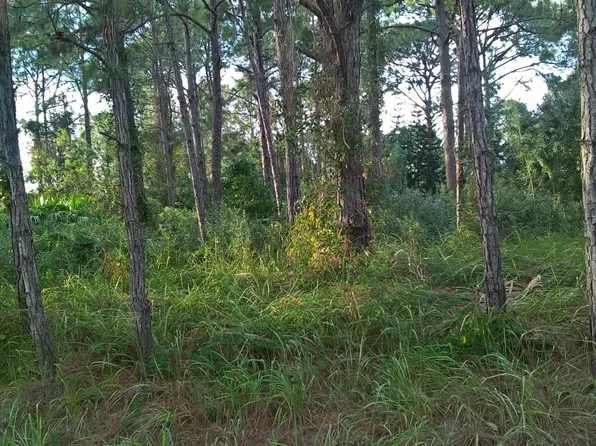 142 Tucson Rd SW, Palm Bay, FL 32908