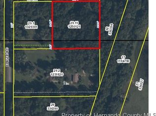16498 Lingle Rd, Brooksville, FL 34601