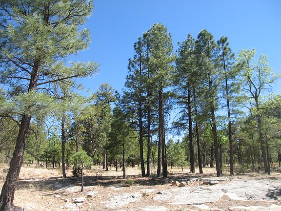 3rd image of 5288 Bald Eagle Way