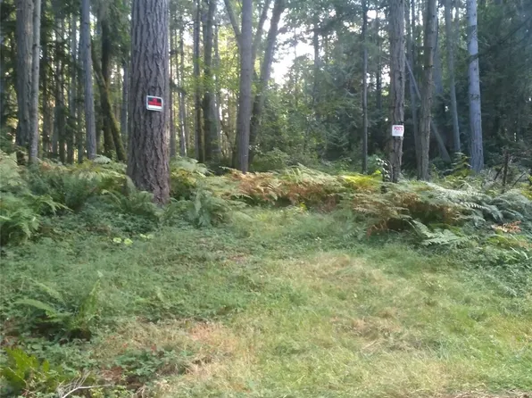 12618 Lovass Road, Anderson Island, WA 98303