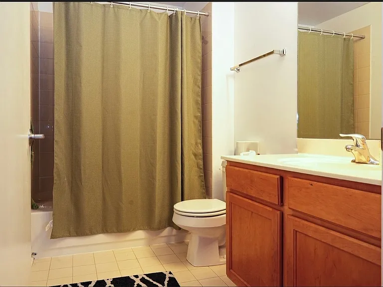 1305 S Michigan Ave #1308 — Photo 11