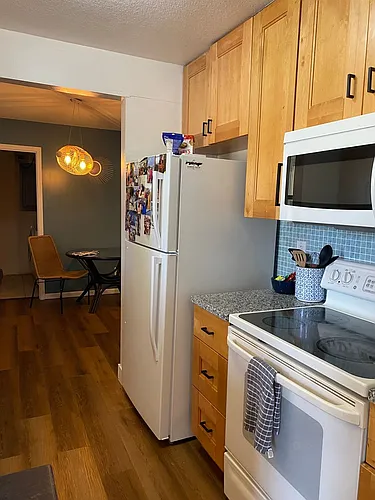 10-2 Kimberling Shores Ln Photo 1
