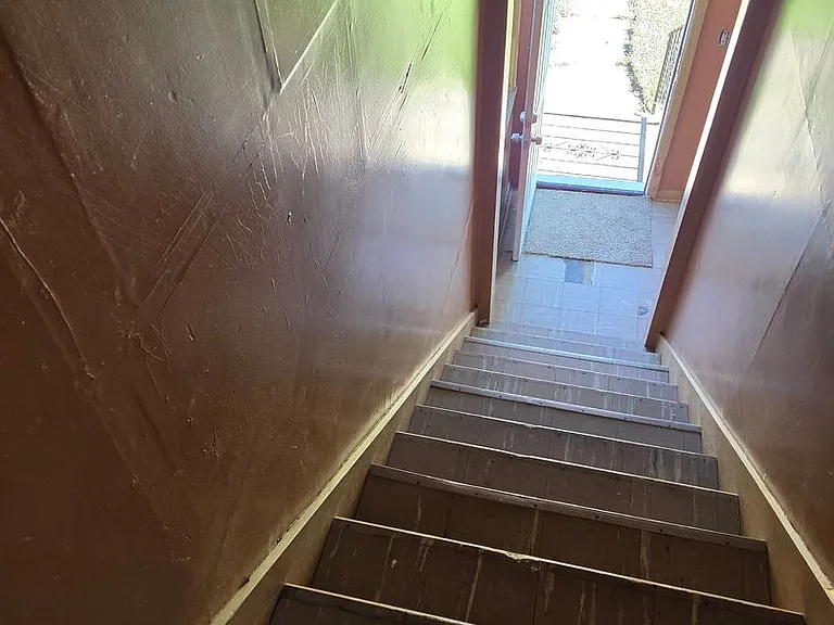 Gartner 341 — Photo 18