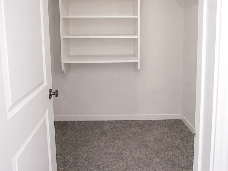 master walk in closet