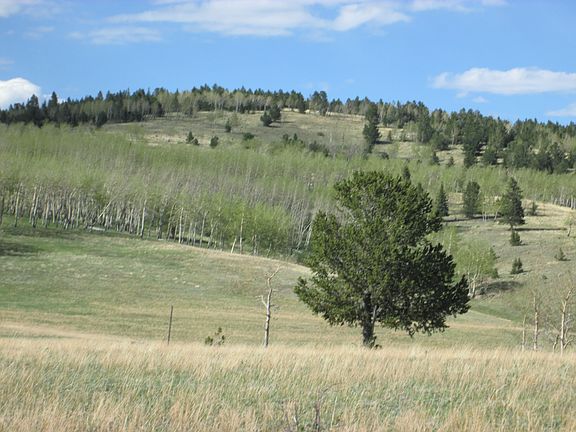 5th image of Teller County Road 861