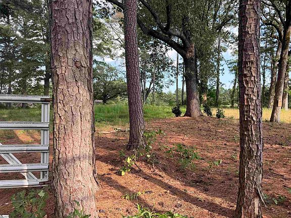 3rd image of 1329 W Georgia Rd