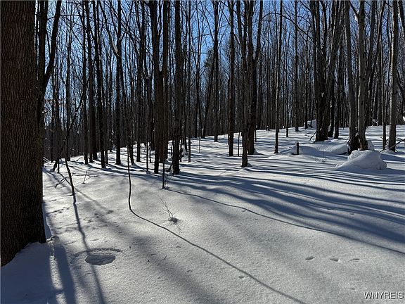 5th image of 10934 Harlow Rd