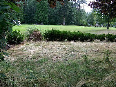 Back patio opens to golf course