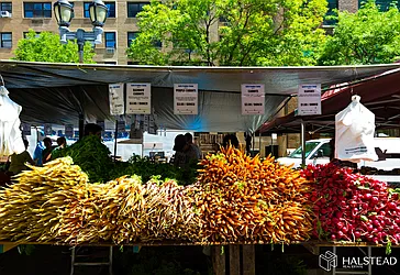 Rented by Halstead Real Estate