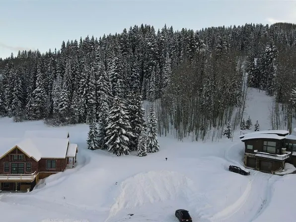 4 Porcupine Court, Crested Butte, CO 81225