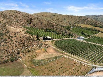 89 Little Buck Lane, Monitor, WA, 98836