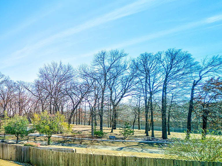 view of park behind house