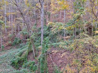 Lots 1 2 3 Timber Grove Rd, Sevierville, TN 37862
