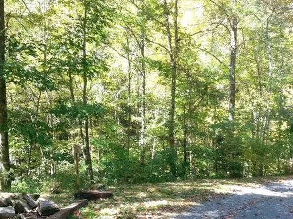 0 Dicks Creek Rd, Whittier, NC 28789