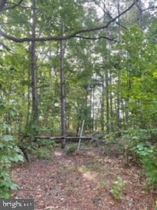 0 Julien St, Woodford, VA, 22580