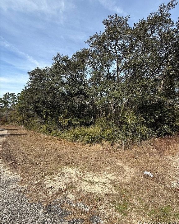 1st image of 3881 W Tropic Ln