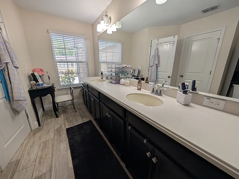 17849 Althea Blue Pl — Photo 16