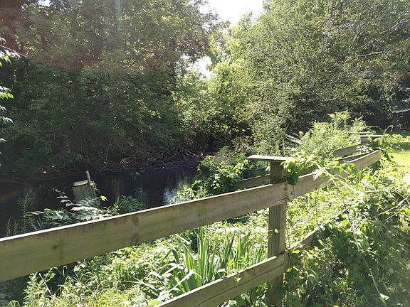 River in back of home 