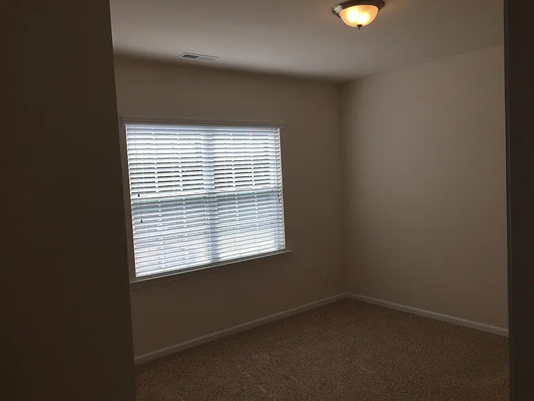 391 Hawks Creek Pkwy — Photo 51