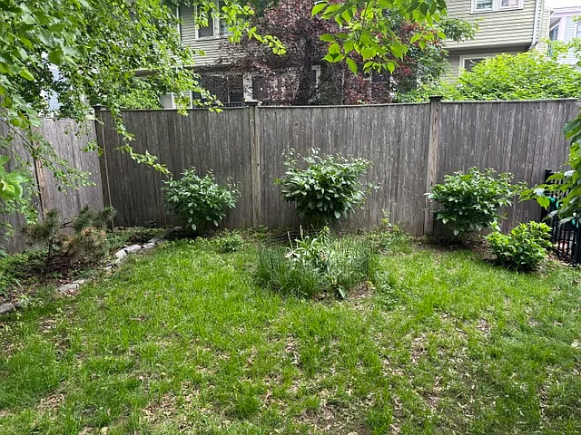 291 Windsor St — Photo 7