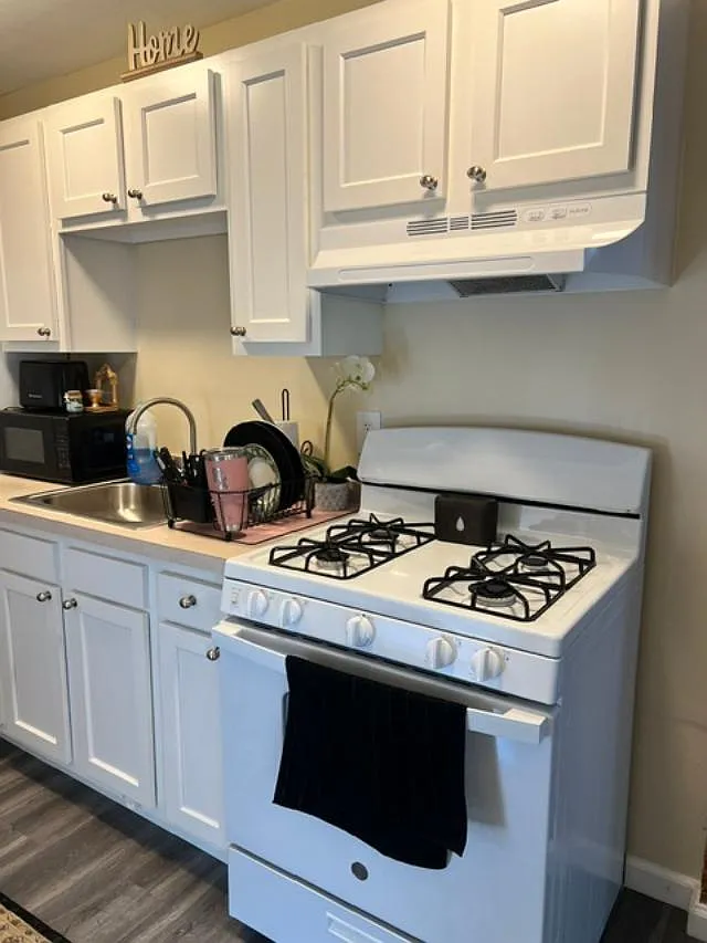 1 bed, $799 — Photo 3