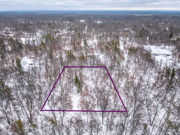 Bristol Rd, Baldwin, MI 49304