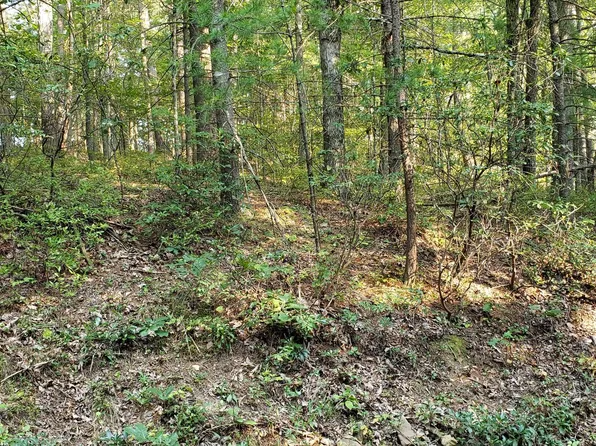 176 Spruce Ln, Mount Jackson, VA 22842