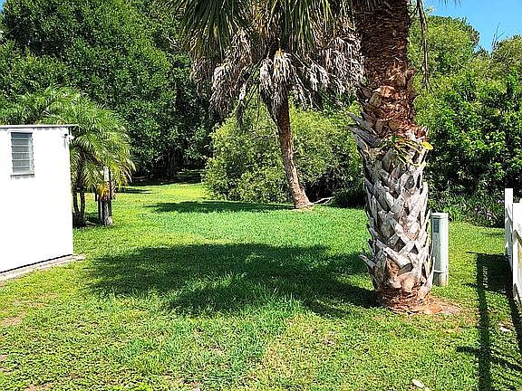 Side and back yard.