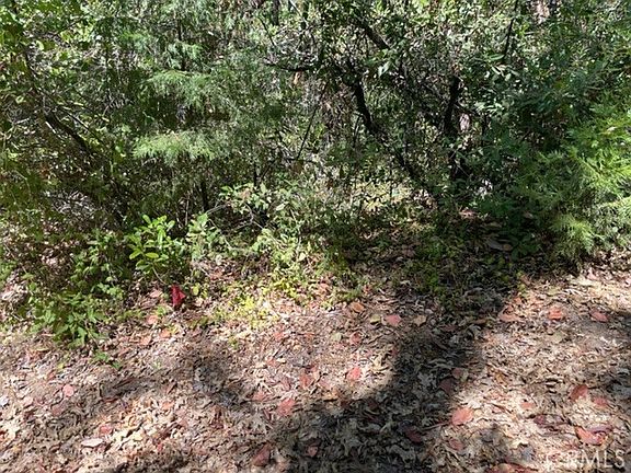 2nd image of 10 Broken Springs Rd