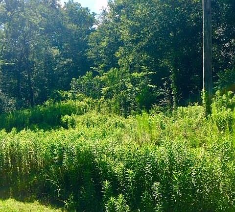 2nd image of 996 County Road 632