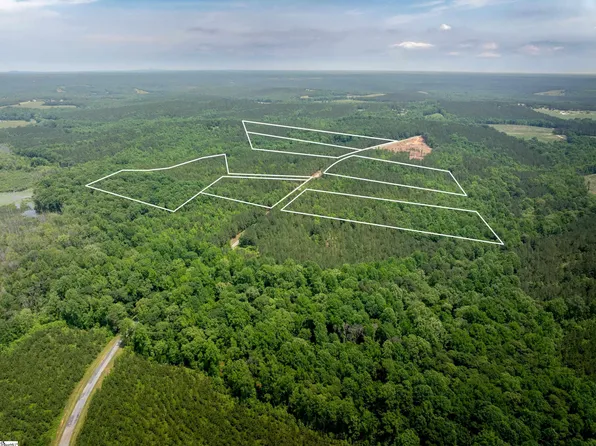 0 Elford Grove Rd Tract 1, Jonesville, SC 29353