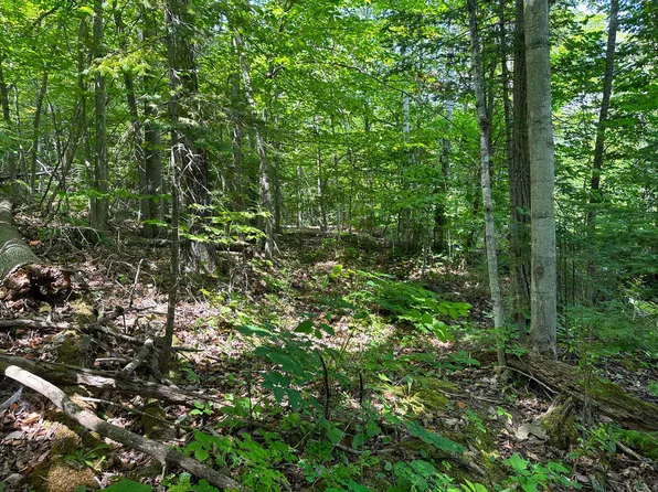 1363 W Cheeseman Rd, Saint Ignace, MI 49781