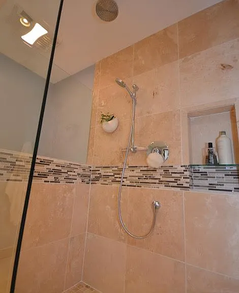Master Bathroom Shower