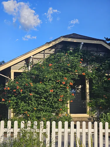 61 Newton St Photo 1
