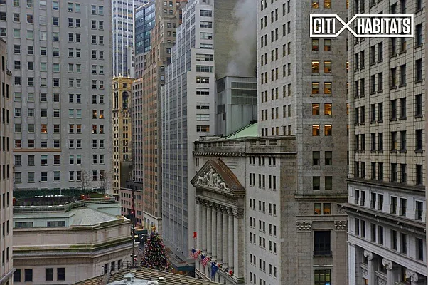 Rented by Citi Habitats | media 22