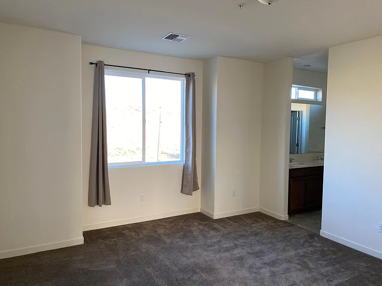 4886 Black Falcon Way — Photo 11