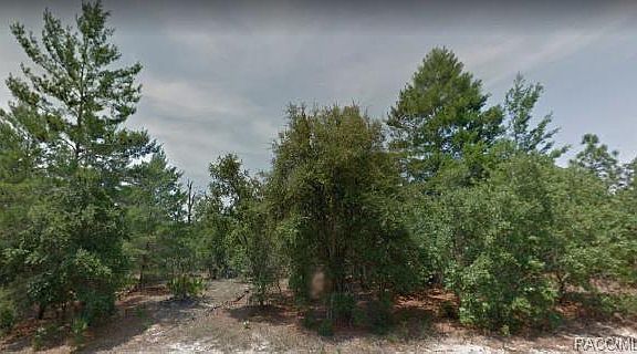 5th image of 5053 W Angus Dr
