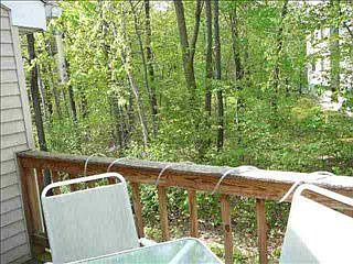2nd image of 5007 Forest Point Dr