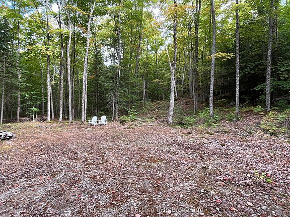 2nd image of 4488 Kawagama Lake Rd