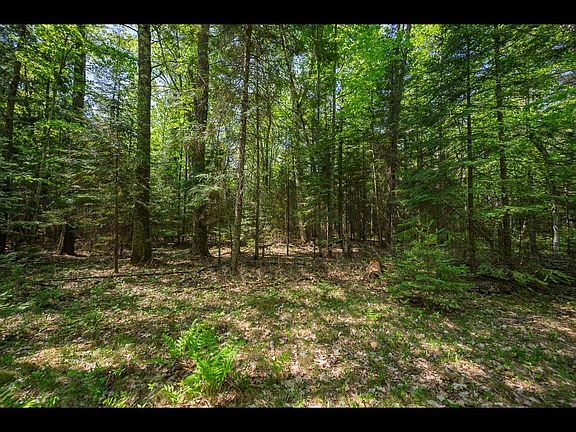 2nd image of 4 Kinderhook Trl