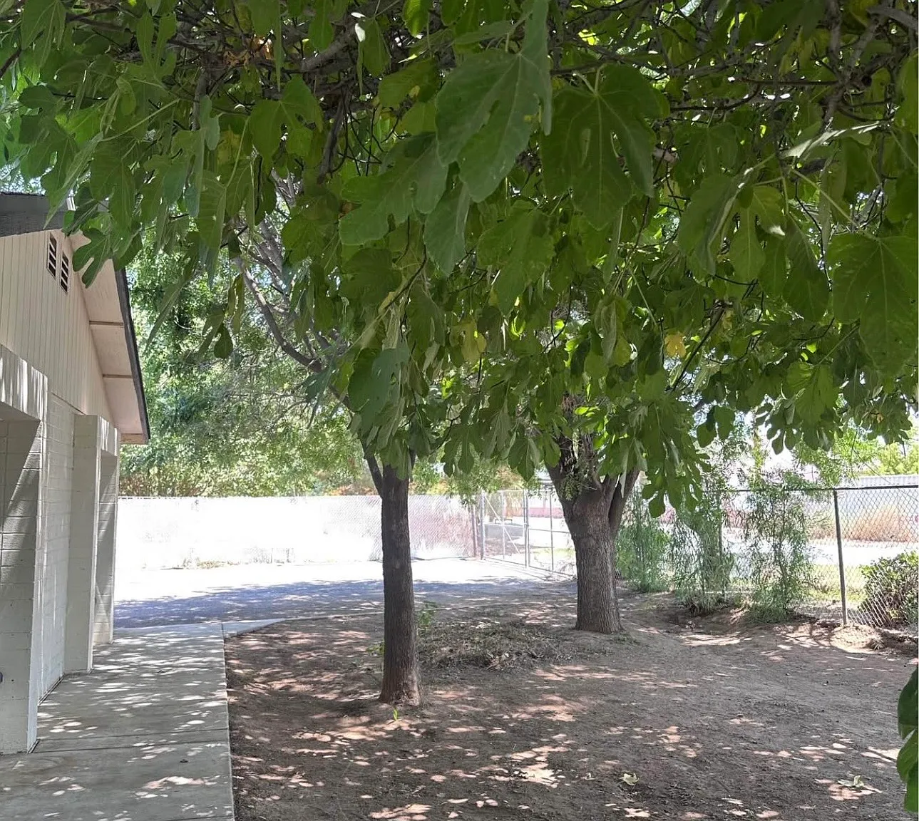 3 bed, 1870 sqft, $2,350 — Photo 3