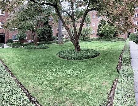 30 Saint Paul St — Photo 3